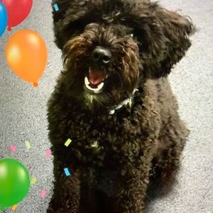 Meet your Posher, Marian